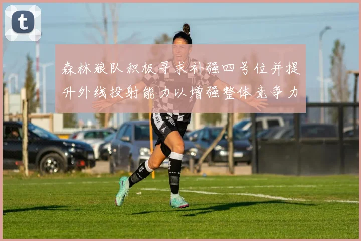 森林狼队积极寻求补强四号位并提升外线投射能力以增强整体竞争力