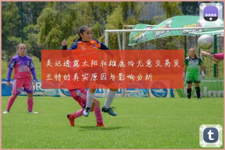 美记透露太阳和雄鹿均无意交易莫兰特的真实原因与影响分析
