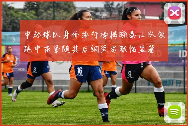 中超球队身价排行榜揭晓泰山队领跑申花紧随其后铜梁龙涨幅显著